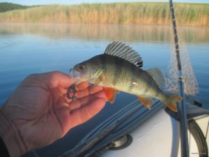 IMG_3036.JPG
