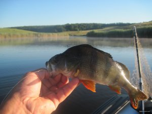 IMG_3041.JPG