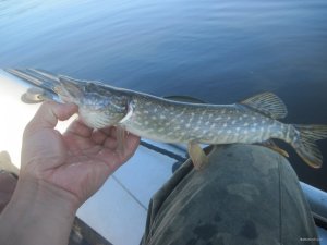 IMG_3044.JPG