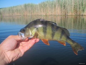 IMG_3047.JPG