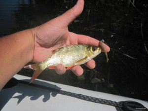 IMG_3053.JPG