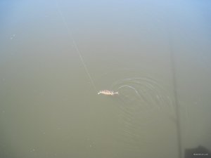 IMG_3056.JPG