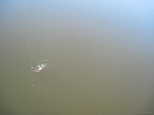 IMG_3057.JPG