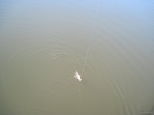 IMG_3059.JPG
