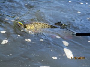 IMG_0730.JPG