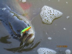 IMG_0720.JPG