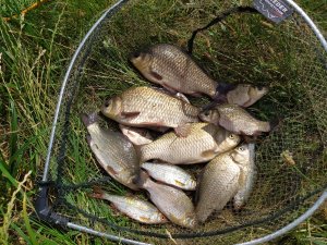 IMG_20200628_133643.jpg