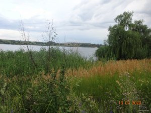 DSC07098.JPG