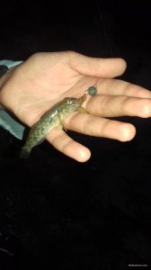 20200714_202236.jpg