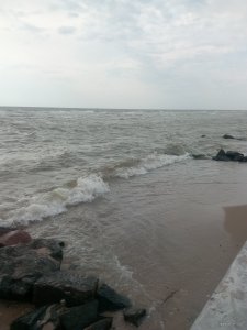 IMG_20200717_091743.jpg