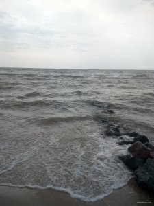 IMG_20200717_091737.jpg