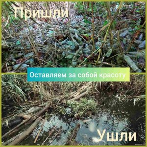 изображение_viber_2020-07-19_19-13-18.jpg