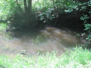 IMG_3081.JPG