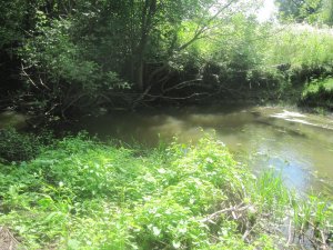 IMG_3085.JPG
