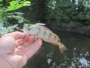 IMG_3086.JPG
