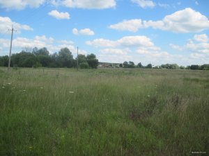 IMG_3093.JPG