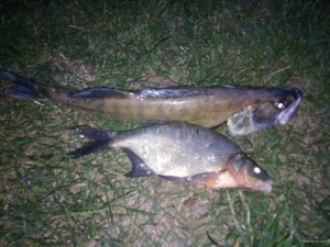 IMG_20200719_205704.jpg