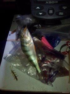 IMG_20200717_212332.jpg