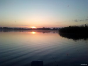 IMG_20200718_045851.jpg