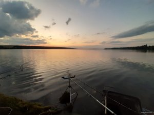 20200718_204849.jpg
