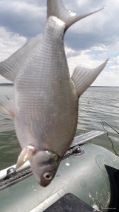 20200721_130433.jpg