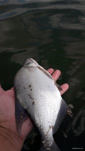 20200721_130448.jpg
