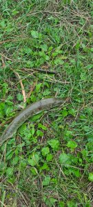 20200720_052201.jpg