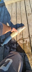 20200720_072539.jpg