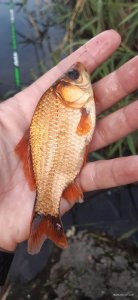 20200716_192546.jpg