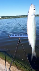 20200723_090129.jpg