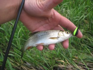 IMG_3098.JPG