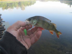 IMG_3102.JPG