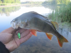 IMG_3106.JPG