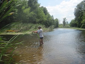 IMG_3156.JPG