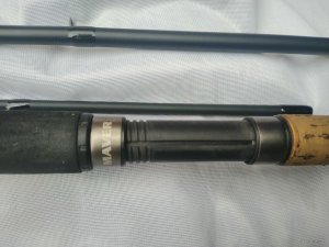 IMG_20200724_102842.jpg