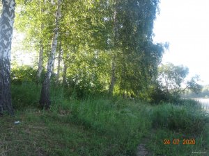 DSC07195.JPG