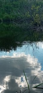 20200725_163439.jpg