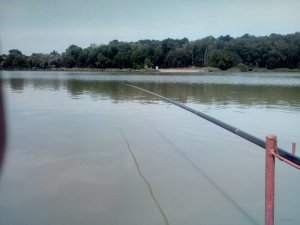 IMG_20200727_115912.jpg