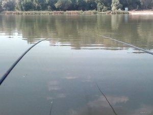 IMG_20200727_145449.jpg