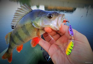 IMG_2633fdgee.jpg