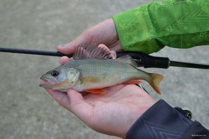 DSC_0154.jpg