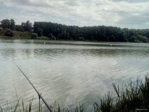 IMG_20200728_141403.jpg