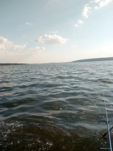 IMG_20200729_174548.jpg