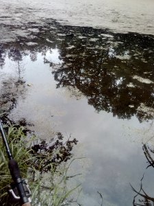 IMG_20200731_125626.jpg