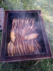 IMG_20200726_174212.jpg