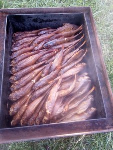 IMG_20200726_185052.jpg