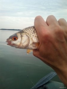 IMG_20200730_115149.jpg