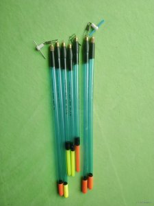 IMG_20200802_143855.jpg