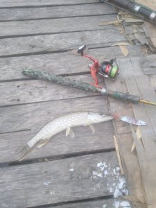 IMG_20200802_074021.jpg