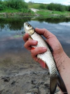 IMG_20200801_201706.jpg